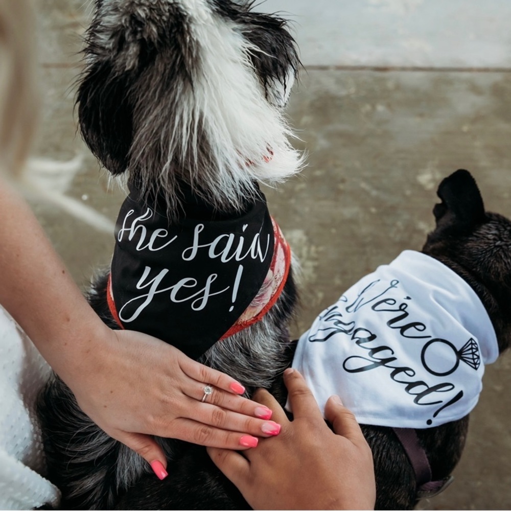 She Said Yes! Wedding Dog Bandana